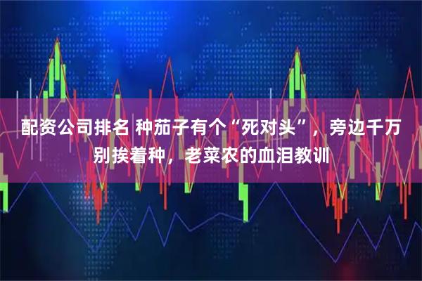 配资公司排名 种茄子有个“死对头”，旁边千万别挨着种，老菜农的血泪教训